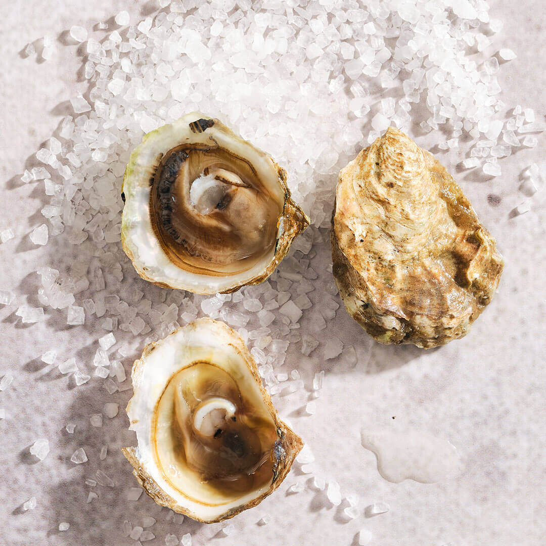 Oysters on the Half Shell, Olympia from Metropolitan Market