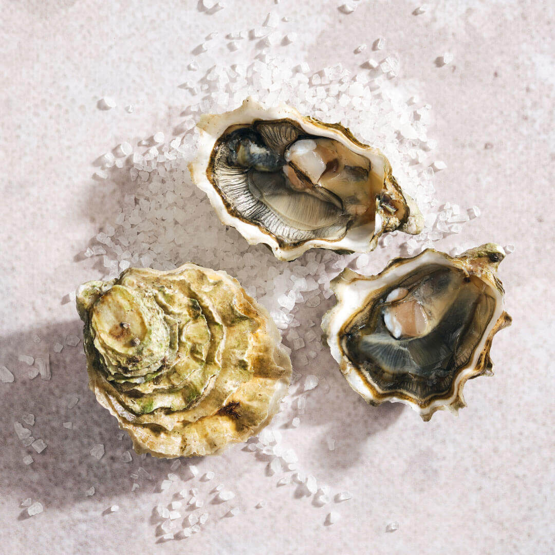 Oysters on the Half Shell, Summerstone from Metropolitan Market