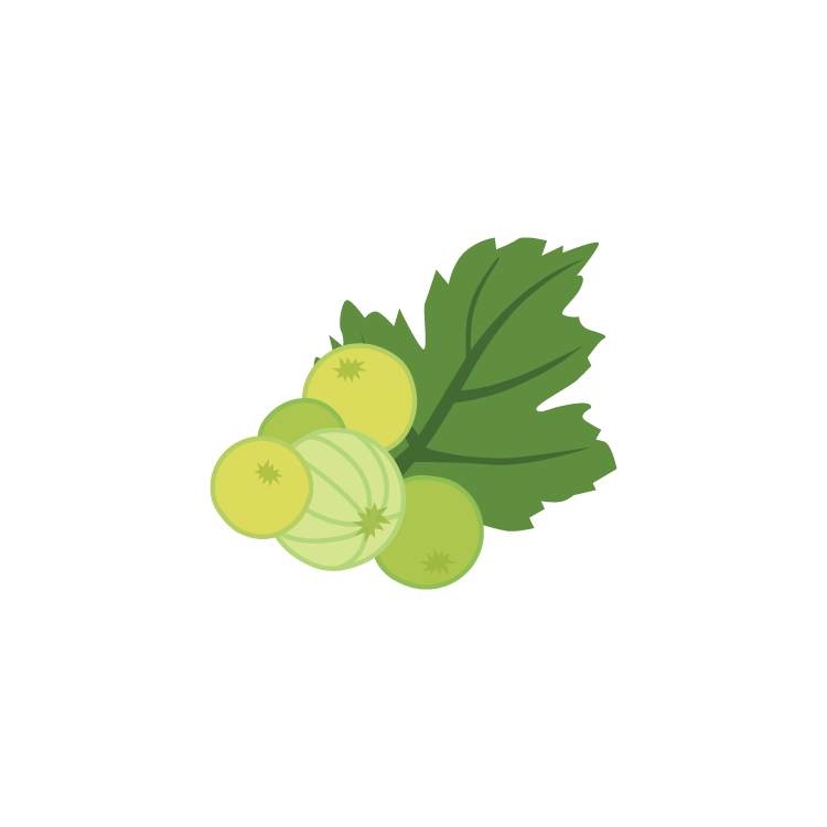 gooseberry