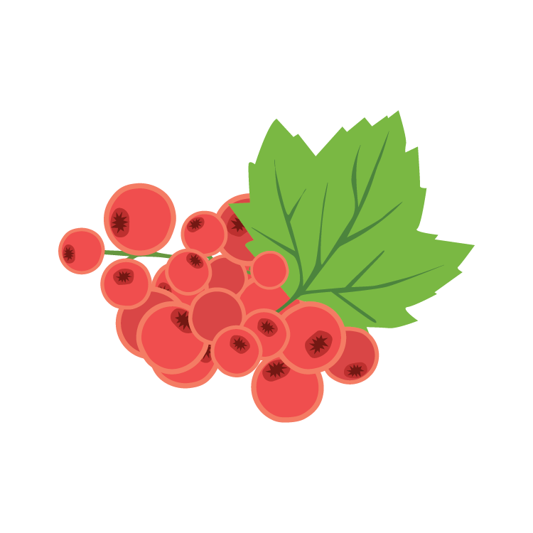 red currant