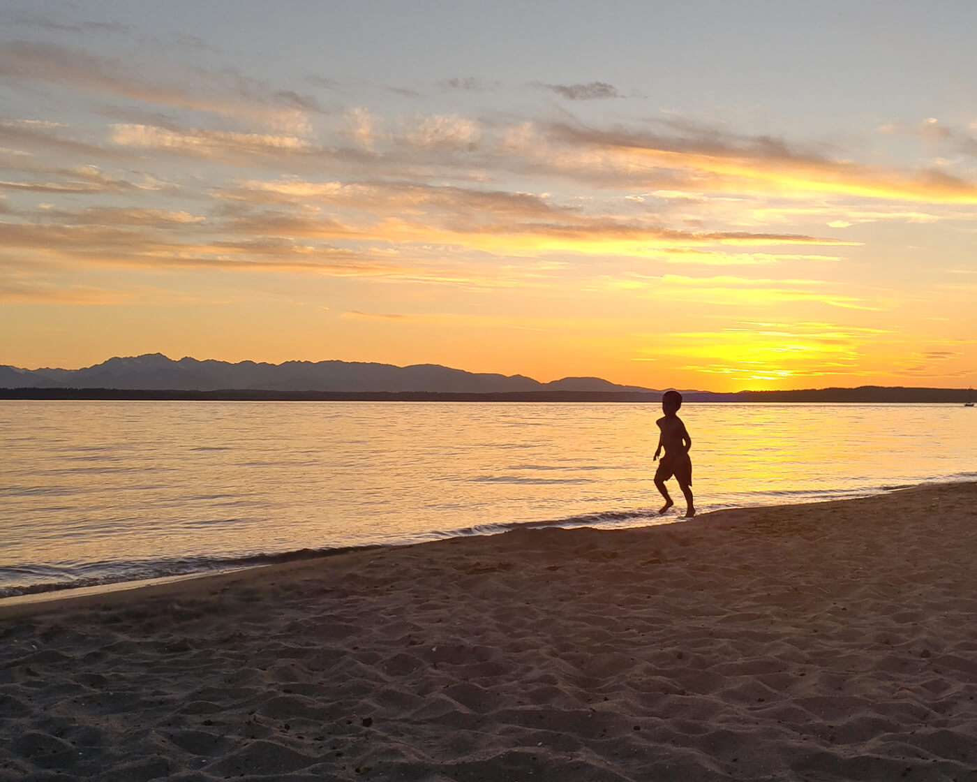 golden gardens