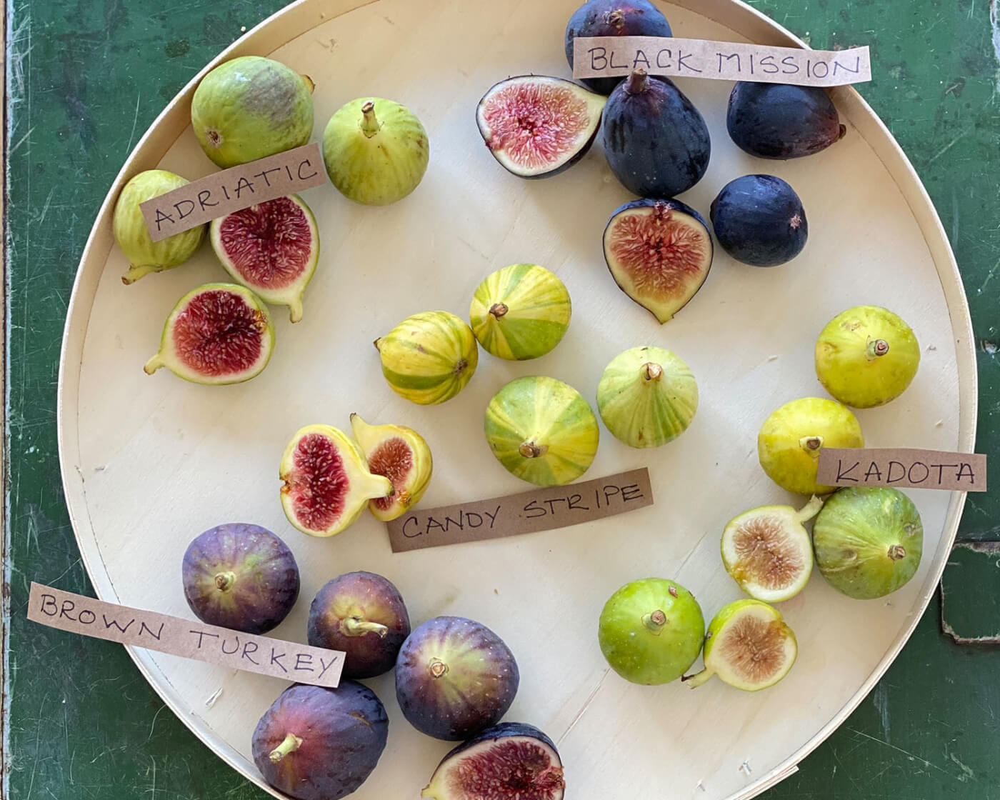 different types of figs