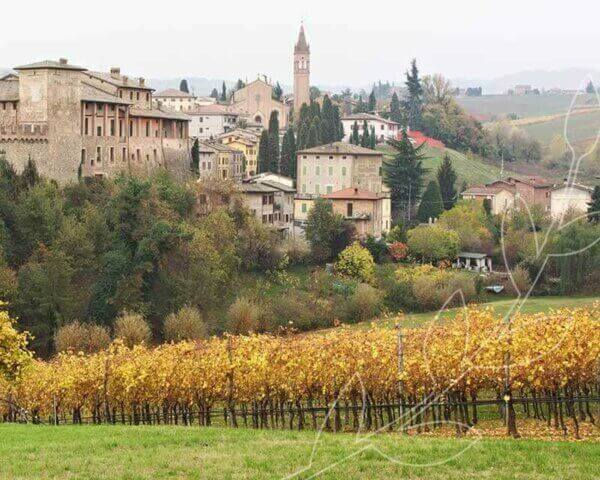 Modena, Italy from Metropolitan Market 