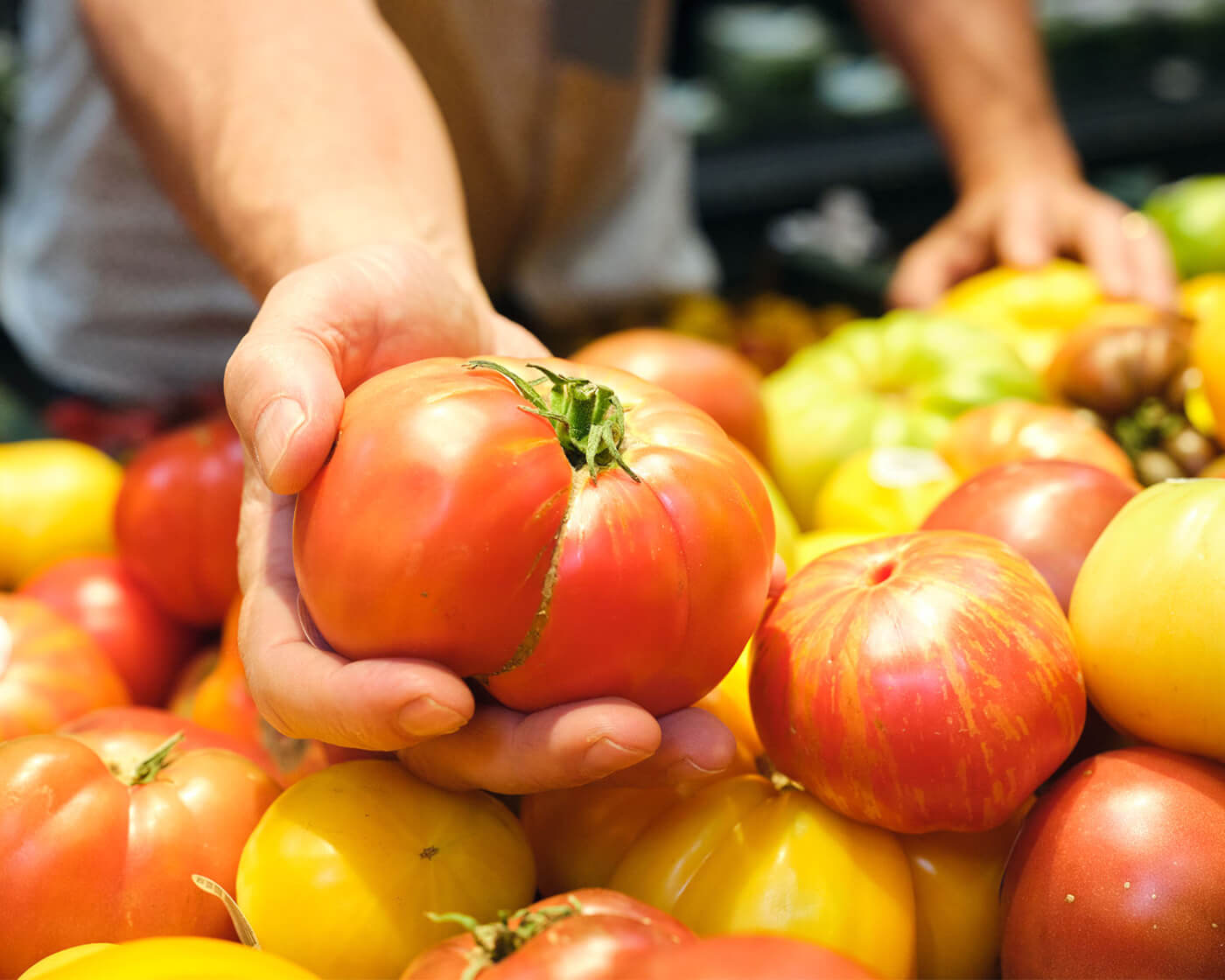 tomatoes