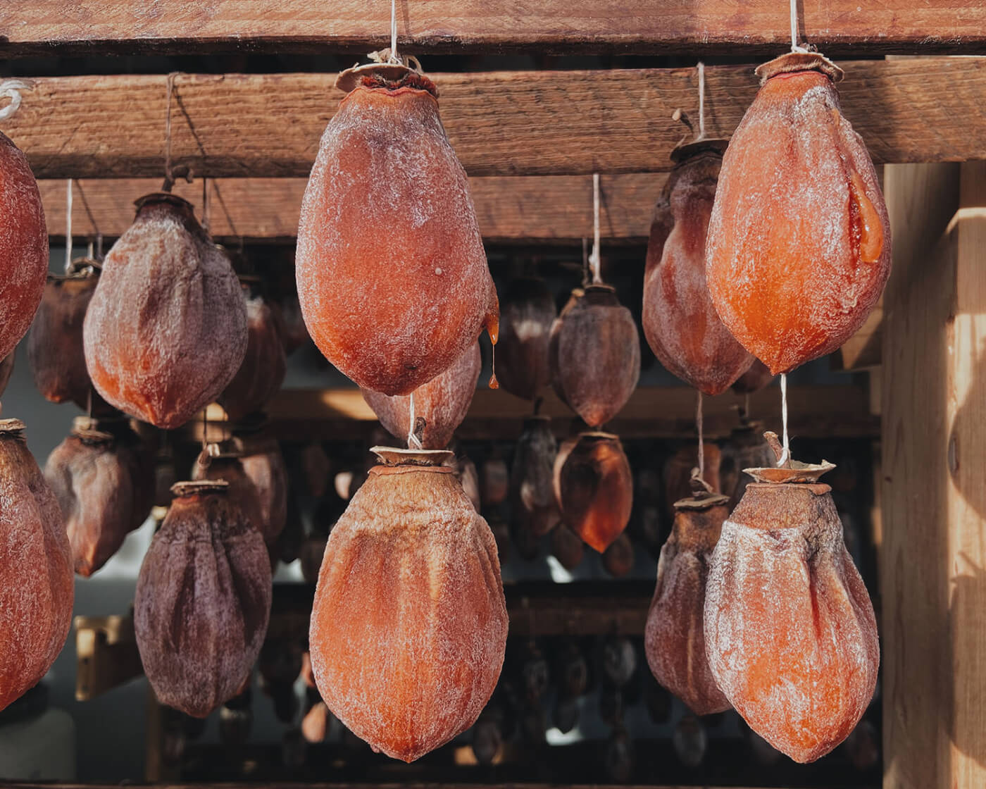 hanging persimmons